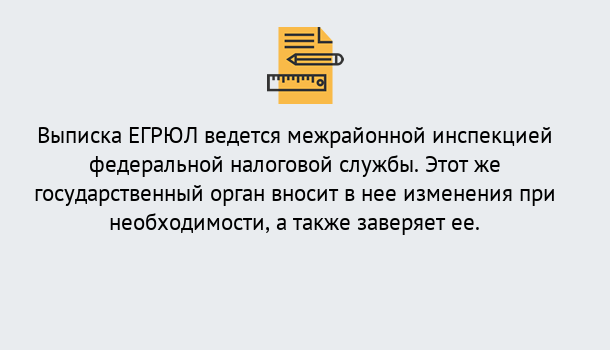 Почему нужно обратиться к нам? Ликино-Дулёво Выписка ЕГРЮЛ в Ликино-Дулёво ?