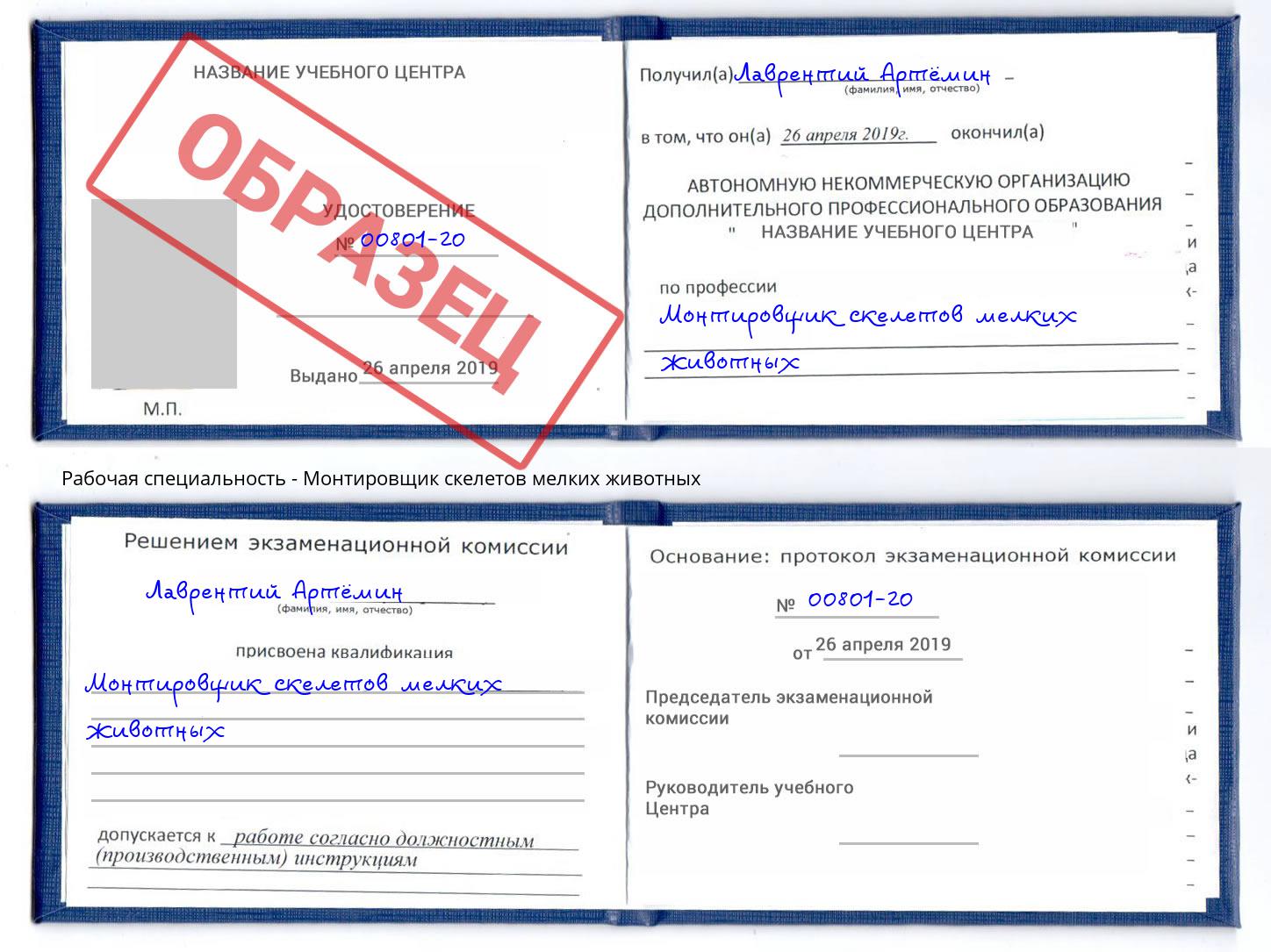 Монтировщик скелетов мелких животных Ликино-Дулёво