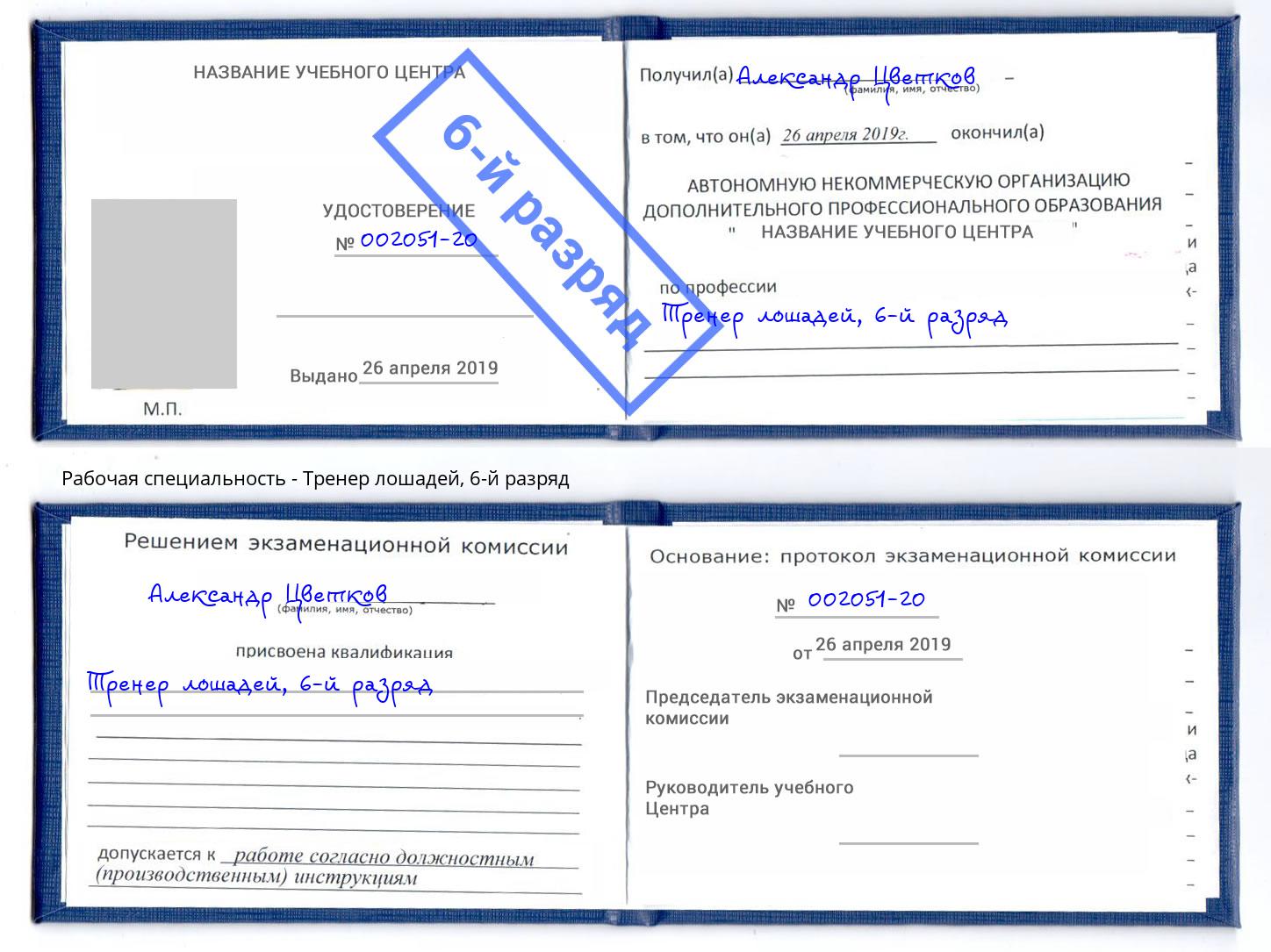 корочка 6-й разряд Тренер лошадей Ликино-Дулёво