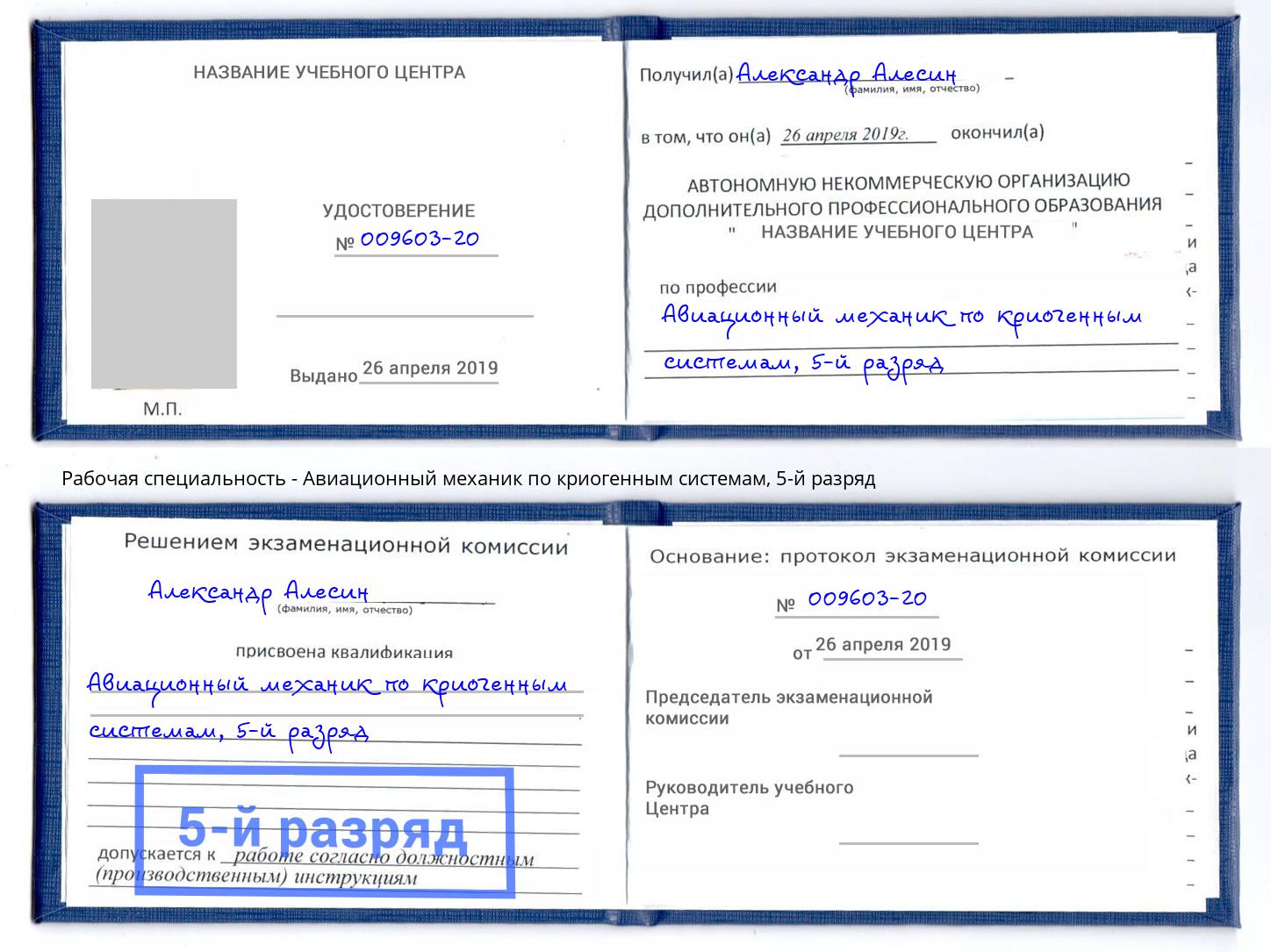 корочка 5-й разряд Авиационный механик по криогенным системам Ликино-Дулёво