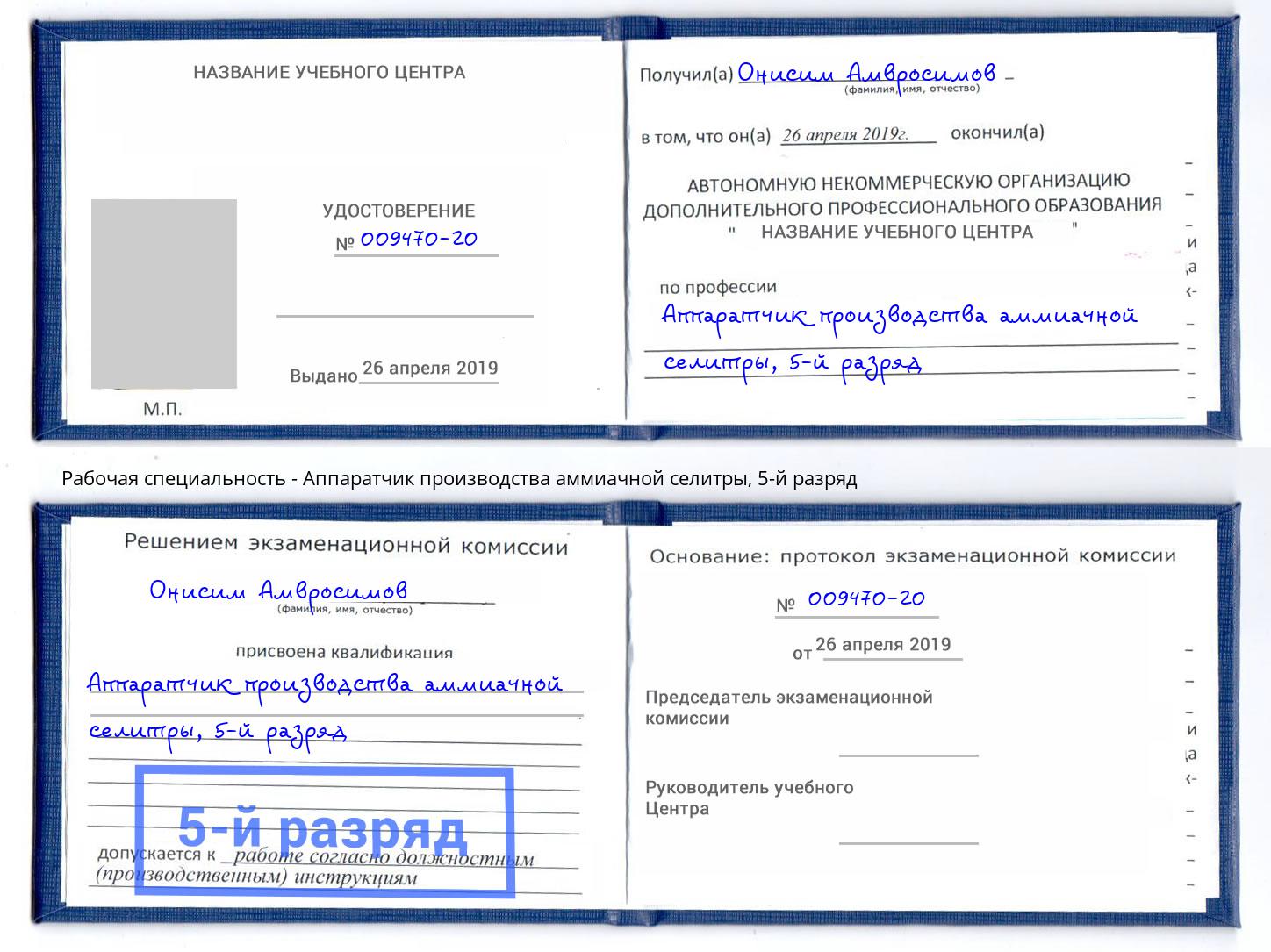 корочка 5-й разряд Аппаратчик производства аммиачной селитры Ликино-Дулёво