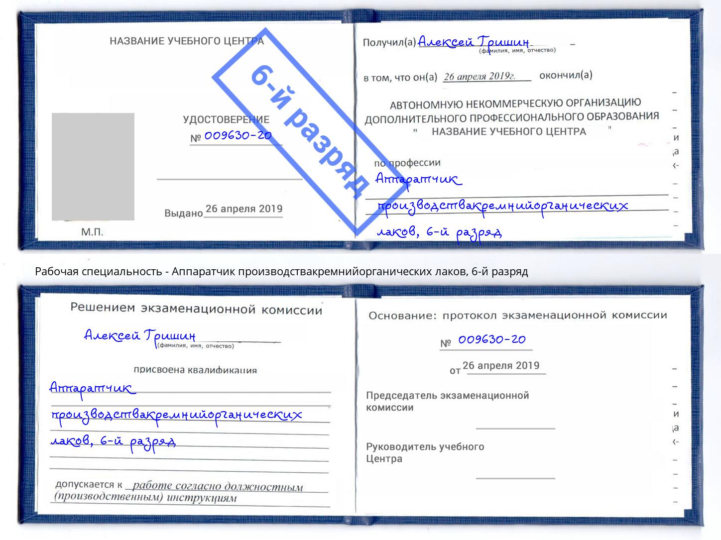 корочка 6-й разряд Аппаратчик производствакремнийорганических лаков Ликино-Дулёво