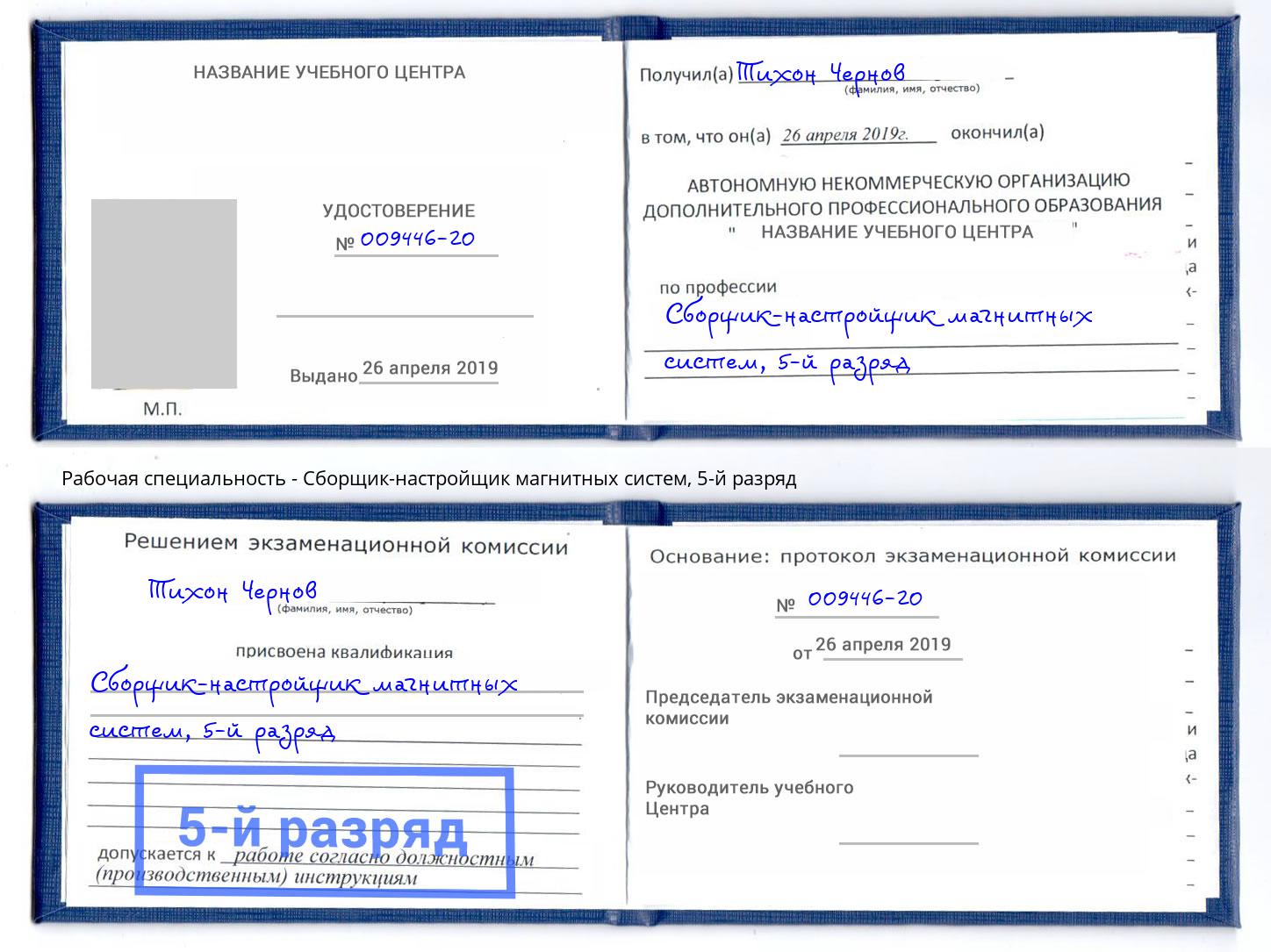 корочка 5-й разряд Сборщик-настройщик магнитных систем Ликино-Дулёво